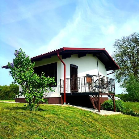 Apartma Kapelski Fant Sveti Jurij ob Scavnici Bagian luar foto